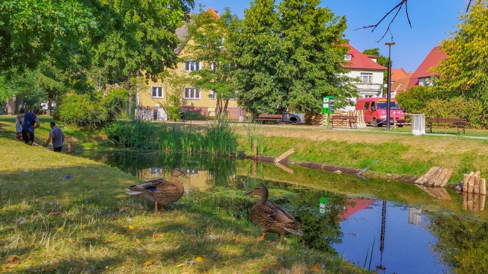 Inwestycja obejmuje przebudowę uszkodzonych skarp stawów. źródło: https://bialogard.info