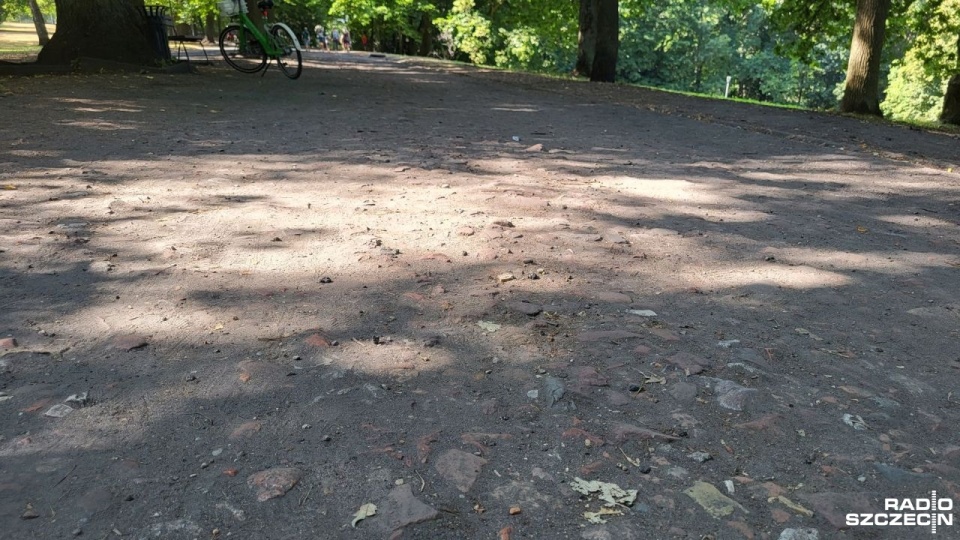 Fot. Sławomir Orlik [Radio Szczecin]