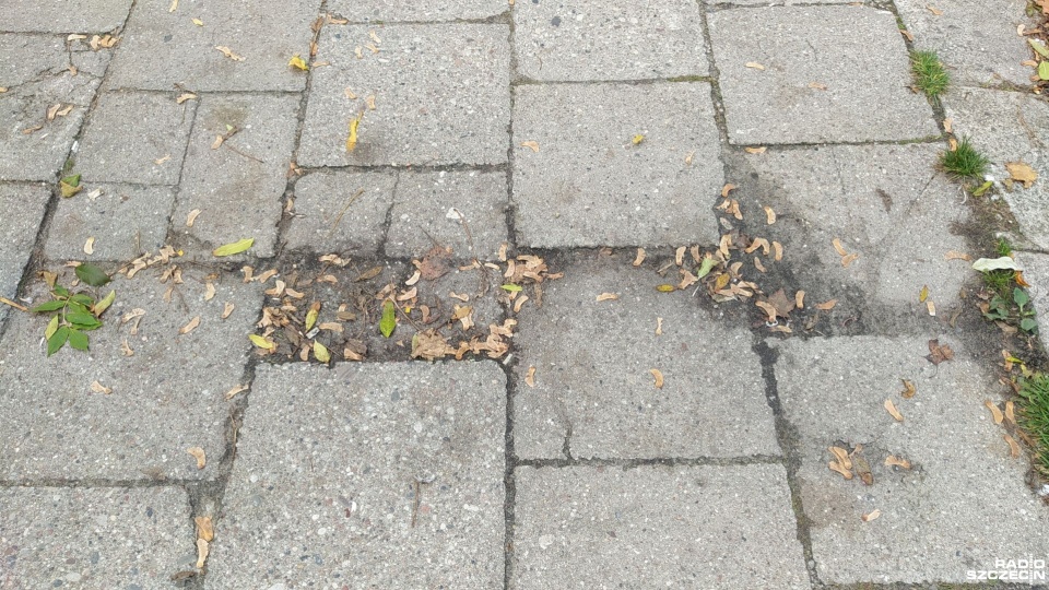 Fot. Kacper Narodzonek [Radio Szczecin]