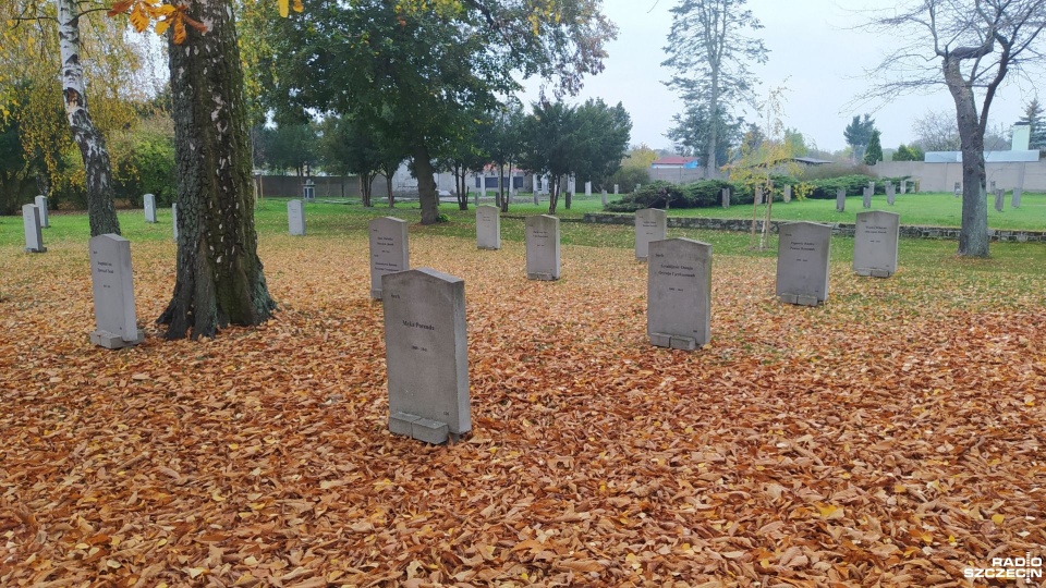 Międzynarodowy Cmentarz Wojenny w Stargardzie. Fot. Kacper Narodzonek [Radio Szczecin]