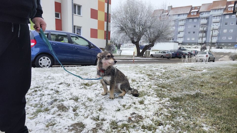Fot. OSP Wolin