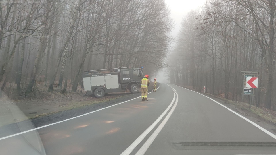 fot. Marcin Łukasz