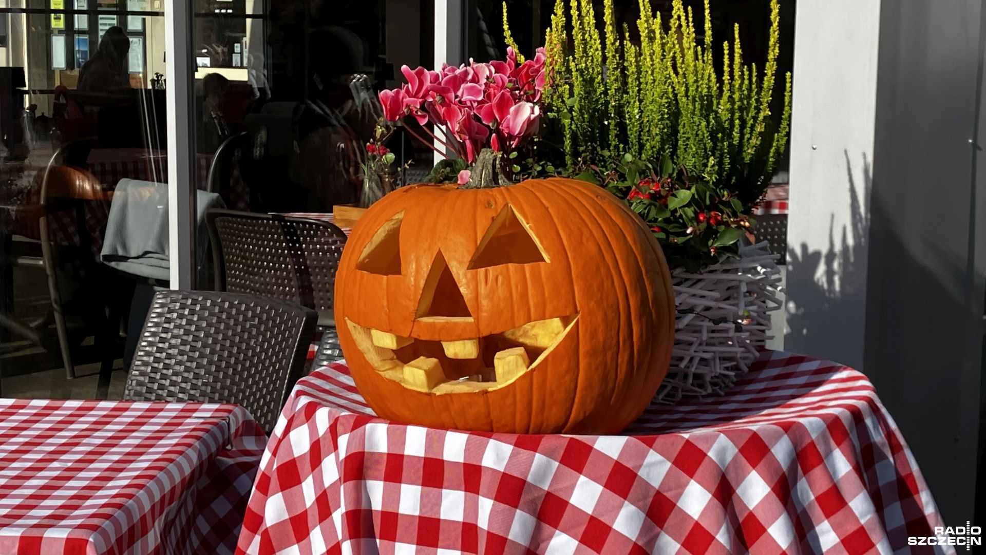 Dynie, korowody straszydeł i cukierki. Halloween w USA