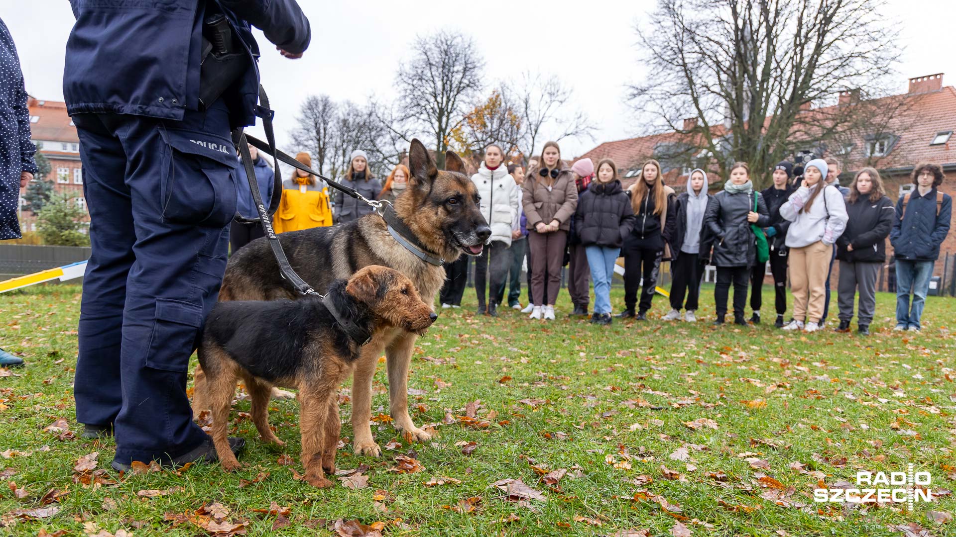 Estudiantes de ciencias caninas conocieron los detalles de cómo trabajan los perros policía [ZDJĘCIA] – región