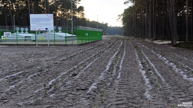 Fot. Marcin Kokolus [Radio Szczecin] Odtworzyli las, który wycięto pod Baltic Pipe [ZDJĘCIA]