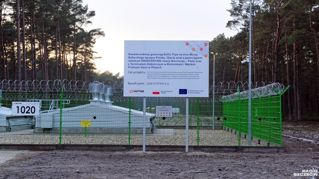 Fot. Marcin Kokolus [Radio Szczecin] Odtworzyli las, który wycięto pod Baltic Pipe [ZDJĘCIA]