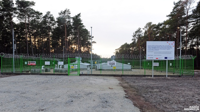 Fot. Marcin Kokolus [Radio Szczecin] Odtworzyli las, który wycięto pod Baltic Pipe [ZDJĘCIA]