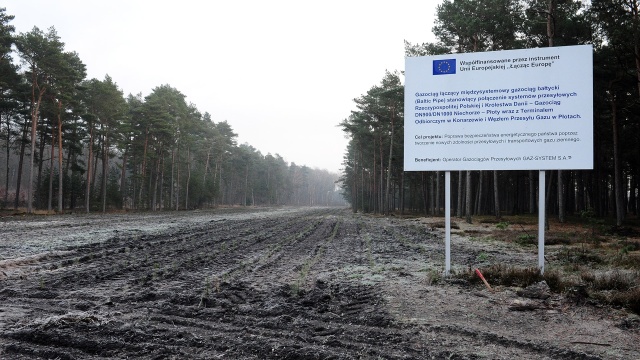 Fot. Marcin Kokolus [Radio Szczecin] Odtworzyli las, który wycięto pod Baltic Pipe [ZDJĘCIA]