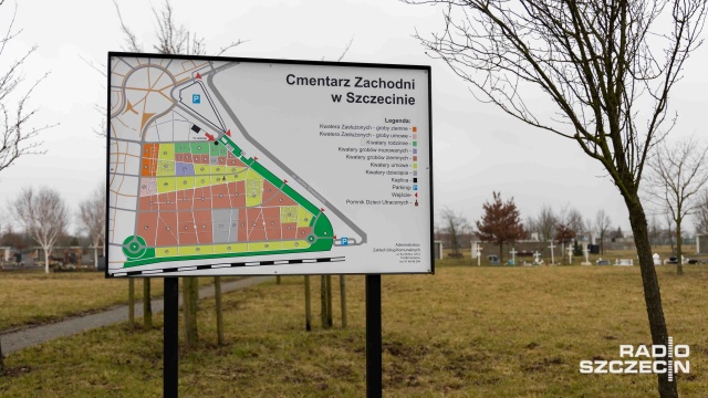 Fot. Robert Stachnik [Radio Szczecin] Wataha dzików zdemolowała cmentarz [WIDEO, ZDJĘCIA]