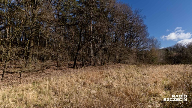 Fot. Robert Stachnik [Radio Szczecin] Mieszkańcy zaskoczeni przebiegiem obwodnicy Przęsocina. Domagają się spotkania [ZDJĘCIA]