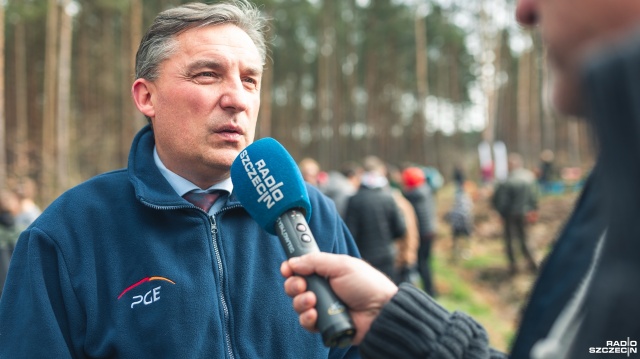 Fot. Jakub Niwa Dzieci zasadziły tysiące sosen. Ten las będzie rósł 100 lat [ZDJĘCIA, WIDEO]