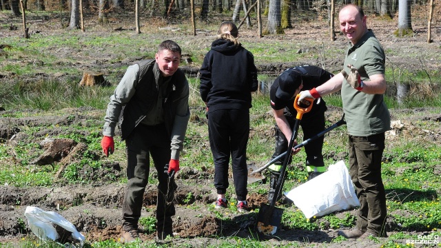 Fot. Marcin Kokolus [Radio Szczecin] Zasadzili kolejny las papieski w naszym regionie [ZDJĘCIA]