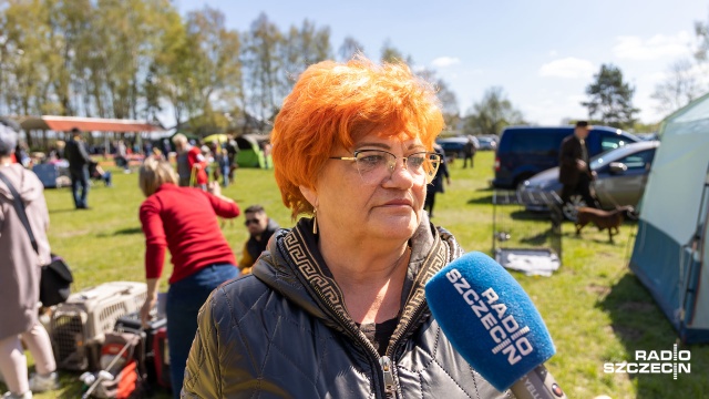 Fot. Robert Stachnik [Radio Szczecin] Pierwsza krajowa wystawa psów myśliwskich w Lubieszynie [WIDEO, ZDJĘCIA]