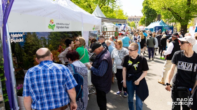 Fot. Robert Stachnik [Radio Szczecin] Piknik nad Odrą. Atrakcje w Szczecinie [ZDJĘCIA]