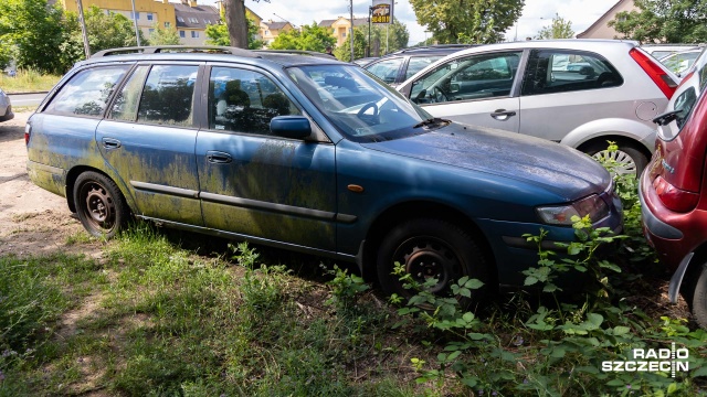 Fot. Robert Stachnik [Radio Szczecin] Pas zieleni zastawiony wrakami. Komis samochodowy zrobił sobie parking [ZDJĘCIA]