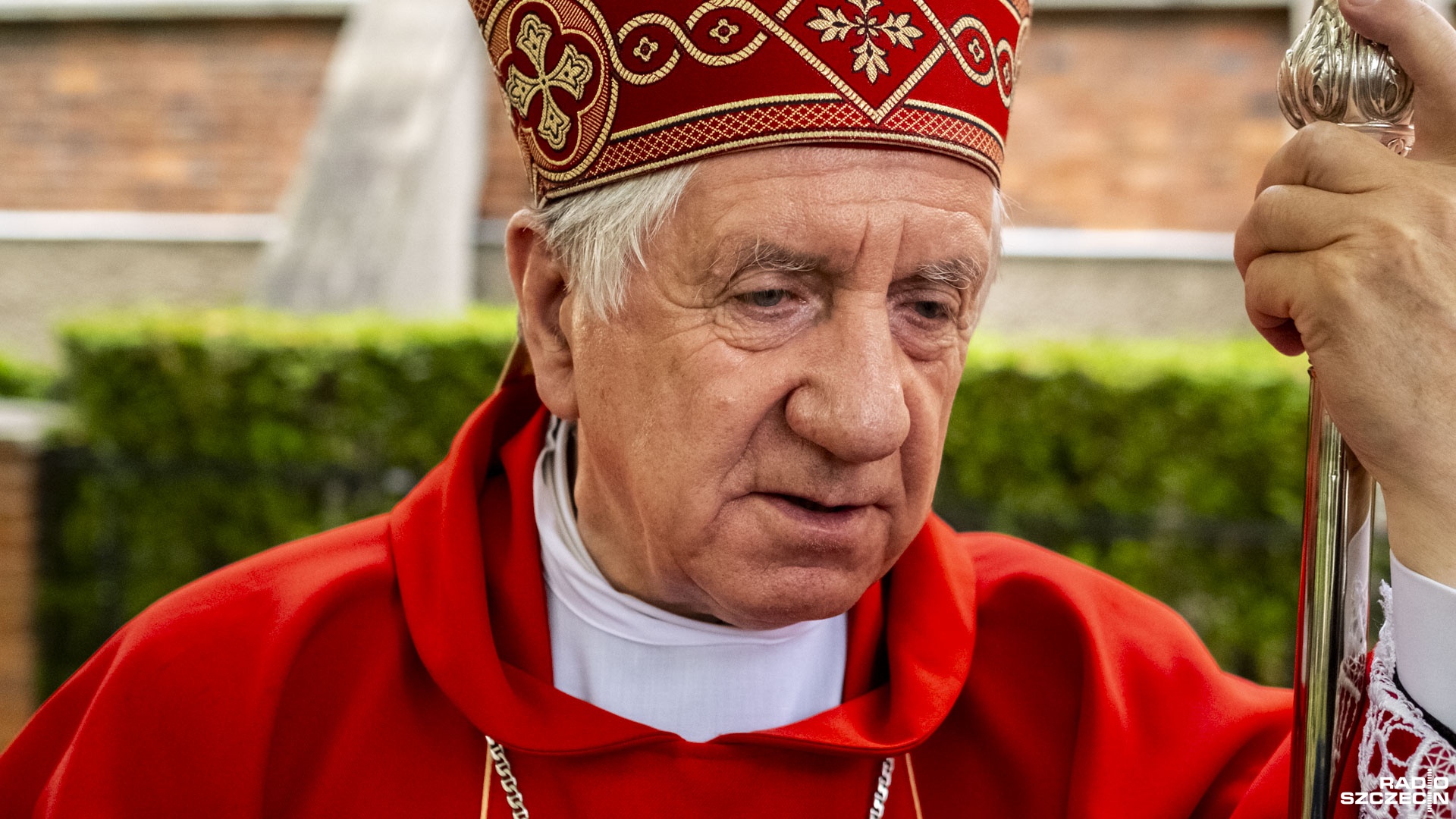 Odejście arcybiskupa Dzięgi nie było spowodowane stanem zdrowia duchownego, a zaniedbaniami m.in. w sprawie zgłaszania molestowania nieletnich - zaznaczyła Nuncjatura Apostolska.