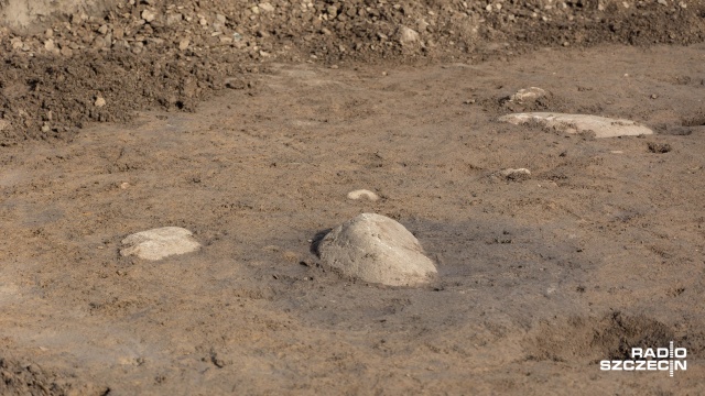 Fot. Robert Stachnik [Radio Szczecin] Odkrycie archeologiczne w Smolęcinie [WIDEO, ZDJĘCIA]