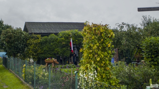 Fot. Wojciech Ochrymiuk [Radio Szczecin] Za pomoc dzikim kotom mogą stracić działkę [WIDEO, ZDJĘCIA]