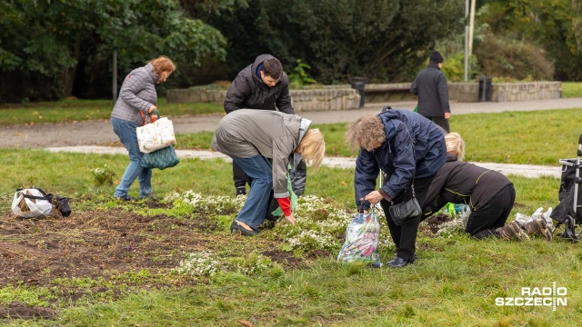Fot. Robert Stachnik [Radio Szczecin] Kwiaty znikają sprzed Pomnika Czynu Polaków. Miasto rozdaje je za darmo [ZDJĘCIA]