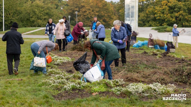 Fot. Robert Stachnik [Radio Szczecin] Kwiaty znikają sprzed Pomnika Czynu Polaków. Miasto rozdaje je za darmo [ZDJĘCIA]