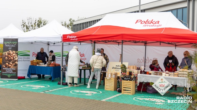 Fot. Robert Stachnik [Radio Szczecin] Na bazarku na Bronowickiej... [WIDEO, ZDJĘCIA]