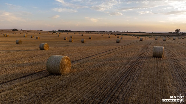 To duży znak zapytania - tak o tym, jak będzie wyglądały kolejne miesiące tego roku mówią rolnicy z regionu.