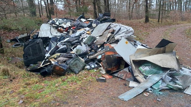 Prawie 8 ton śmieci podrzucono w lesie koło Lęborka na Pomorzu.