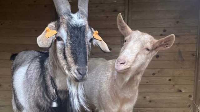 Nadzieja dla Juliana