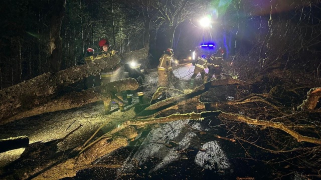 Prawie sto interwencji strażaków do powalonych drzew na terenie powiatów sławieńskiego, koszalińskiego i kołobrzeskiego oraz uszkodzony dach domu w miejscowości Rosnowo koło Koszalina - to skutki orkanu Willy, który przechodzi nad naszym regionem.