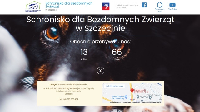 Do piątku mogą zgłaszać się kandydaci na kierownika Schroniska dla bezdomnych zwierząt w Szczecinie.