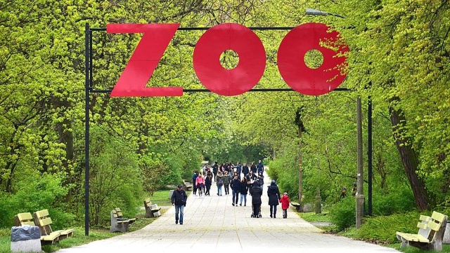 95 lat temu otwarto Ogród Zoologiczny w Warszawie. Z tej okazji przy wejściu głównym do Ogrodu odsłonięto dzisiaj tablicę z imionami patronów - Antoniny i Jana Żabińskich.
