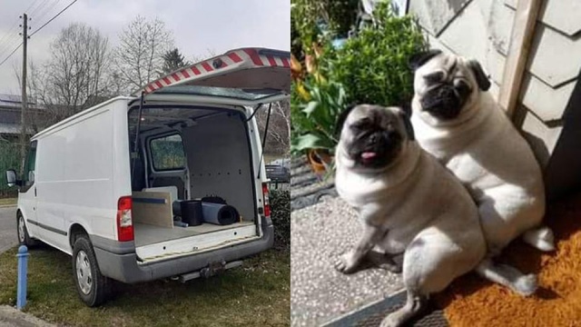 Złodzieje ukradli samochód turystom, a w środku były ich psy. Proszą o pomoc w odzyskaniu zwierzaków.