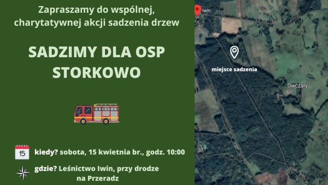 W Nadleśnictwie Szczecinek w sobotę charytatywne sadzenie lasu - każdy chętny może pomóc przyrodzie i strażakom.