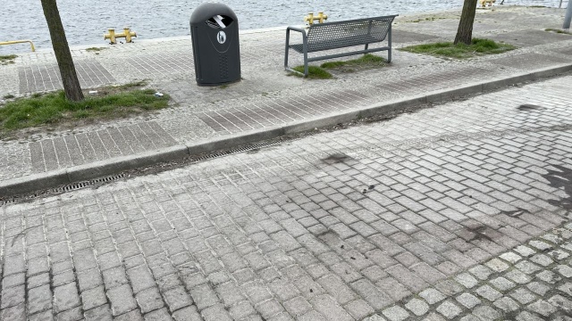 Tak jest na Warszowie. Jak informuje zastępca prezydenta miasta, Barbara Michalska duże zapylenie jest w okolicach portu. Zalega on na chodnikach i ulicach.