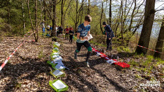 10. edycja zawodów w biegu na orientację Bukowa Cup, która odbywa się w Puszczy Bukowej wchodzi w decydującą fazę.