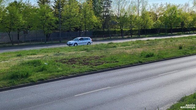Kwietna łąka przy ul. 26 Kwietnia w Szczecinie bez kwiatów.