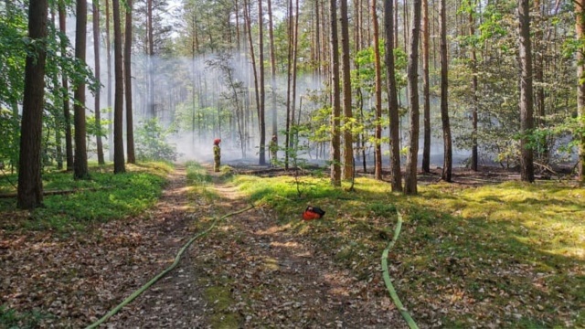 Trzeci, najwyższy stopień zagrożenia pożarowego obowiązuje w lasach w regionie. We wtorek zagrożenie ma osiągnąć poziom ekstremalny, dlatego w lasach trzeba szczególnie uważać.