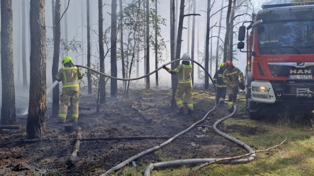 Zagrożenie pożarowe w zachodniopomorskich lasach. Alert RCB