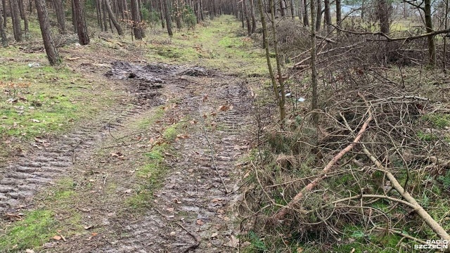 Spór o nawierzchnię ścieżki rowerowej Świnoujście - Międzyzdroje. Teraz rowerzyści, którzy chcą pokonać tę trasę mają do wyboru albo pełen wybojów leśny dukt, albo niebezpieczny odcinek drogi krajowej nr 3.