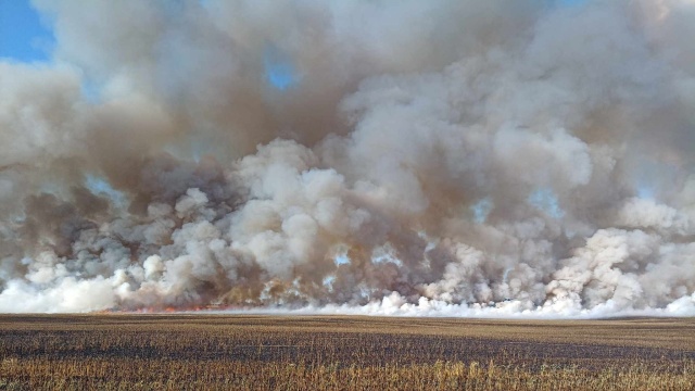 Pożar pola w Brzezinie w powiecie stargardzkim. Spłonęło 25 hektarów zboża.