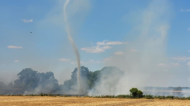 Pożar zboża na pniu. W powiecie myśliborskim płonie pole w Boleszkowicach.
