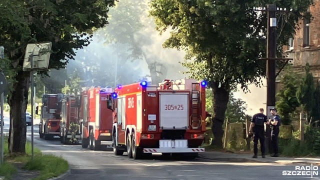 Pożar altany ogrodowej przy Podbórzańskiej w Szczecinie. Okoliczni mieszkańcy około 18 zauważyli kłęby czarnego dymu unoszące się nad północną częścią Szczecina.