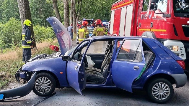 Przed podróżą odpowiednio zabezpieczmy przewożone zwierzęta - ostrzega policja. O tym, jak to ważne przekonał się kierowca samochodu osobowego, który stracił panowanie nad kierownicą na drodze wojewódzkiej nr 151.