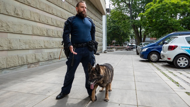 To nie tylko wspólna praca - to przyjaźń - tak młodszy aspirant Piotr Szczepanowski ze szczecińskiej policji mówi o współpracy ze swoim służbowym psem - Karłem.