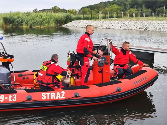 Strażacy ochotnicy z Wolina uratowali psa, który nie mógł się wydostać z wody na nowej przystani.