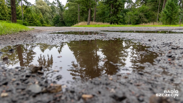 Od wielu lat na Cmentarzu Centralnym w Szczecinie, sukcesywnie remontowane są alejki. Ostatnie prace przeprowadzone zostały blisko trzy lata temu.