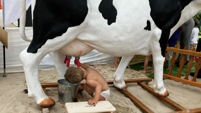 Dmuchańce, ludzkie kręgle, malowanie buziek, a nawet dojenie krowy - wszystko dostępne jest na plaży Przytór w Świnoujściu. To kolejny - i nie ostatni - weekend z atrakcjami przygotowanymi przez Spółkę Gaz-System.