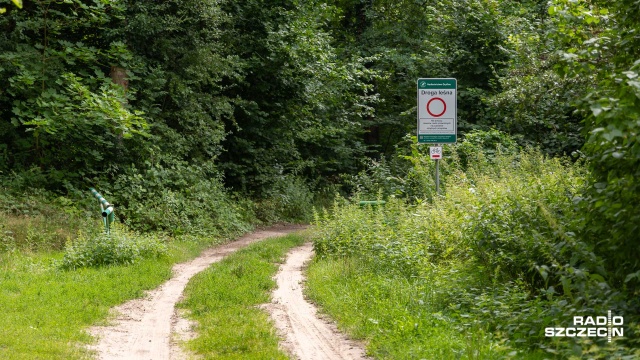 Regionalna Dyrekcja Ochrony Środowiska w Szczecinie wydała nową decyzję w sprawie rezerwatu przyrody Kamienieckie Wąwozy. Tym samym mieszkańcy Kamieńca i turyści mają dostęp do nadodrzańskich terenów.
