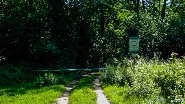 Mają wyznaczony nowy szlak, a dzięki temu znowu dostęp do lasu i rzeki Odry - po naszych publikacjach o ich problemach z zakazem wstępu na chroniony obszar, mieszkańcy Kamieńca w rozmowie z naszym reporterem nie kryli zadowolenia po tym, jak Regionalna Dyrekcja Ochrony Środowiska ponownie wyznaczyła Szlak Bielika w Rezerwacie Kamienieckie Wąwozy.