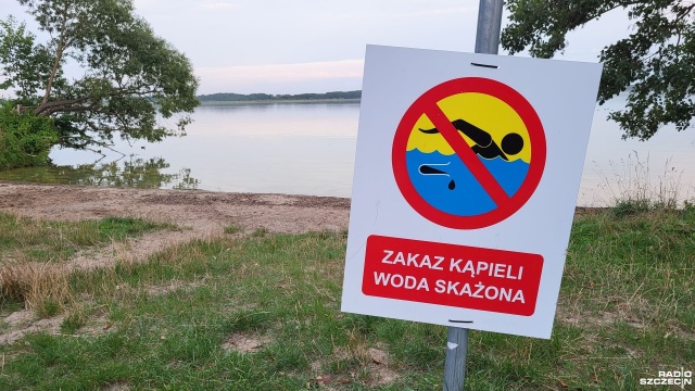 Intensywne nawożenie pól i brak nadzoru nad różnymi instalacjami w pobliżu rzek czy jezior - to główne przyczyny zakwitu sinic - ocenia dr Justyna Kobos z Instytutu Oceanografii Uniwersytetu Gdańskiego.